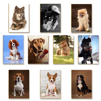 Kit 10 Placas MDF Cachorros Parede Criativa e Divertida DC16